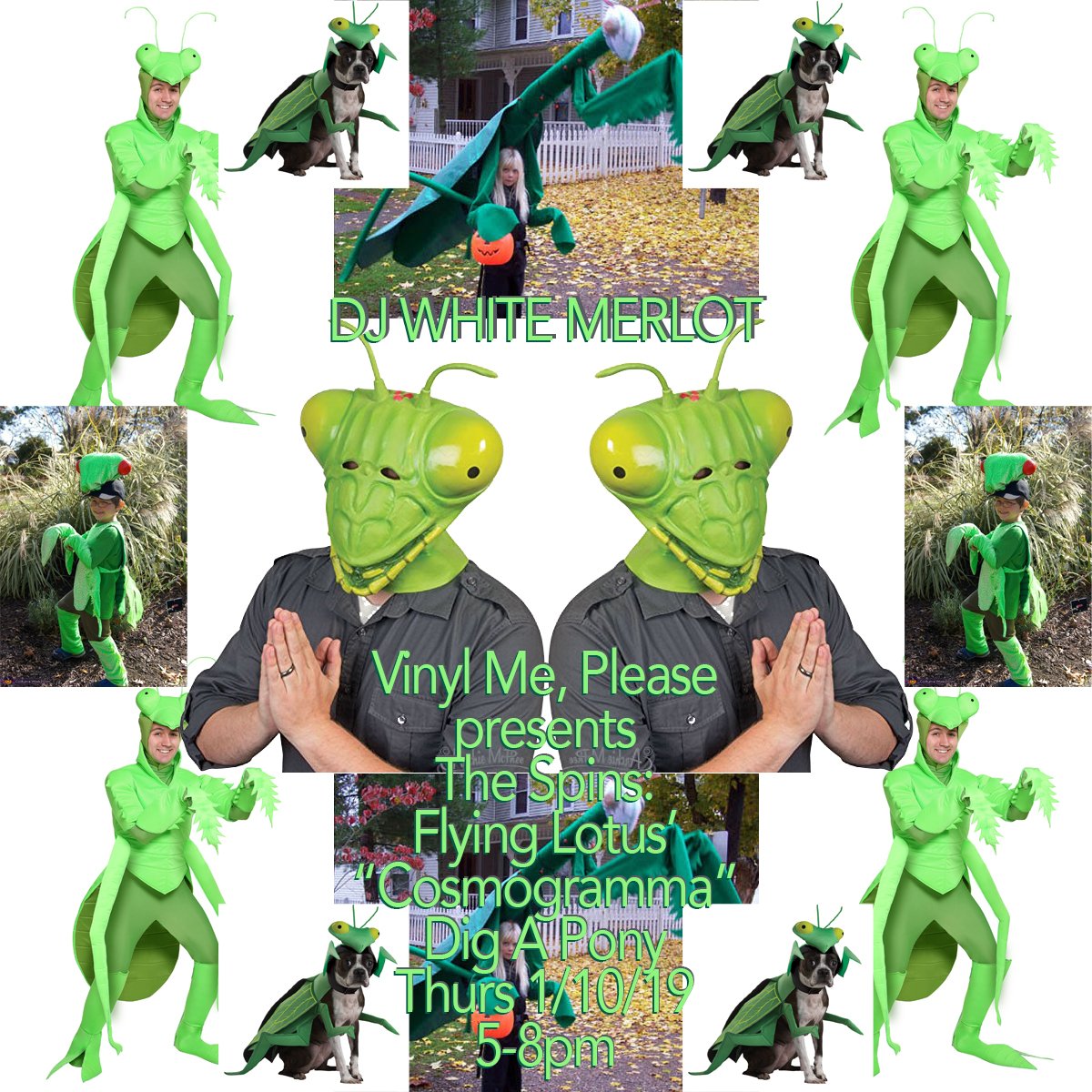 DAPflylo.jpg