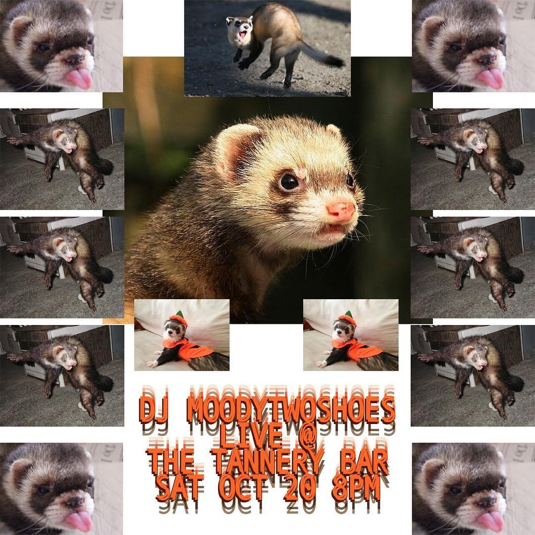 43656293_1230715853733550_9077140962169355003_n.jpg