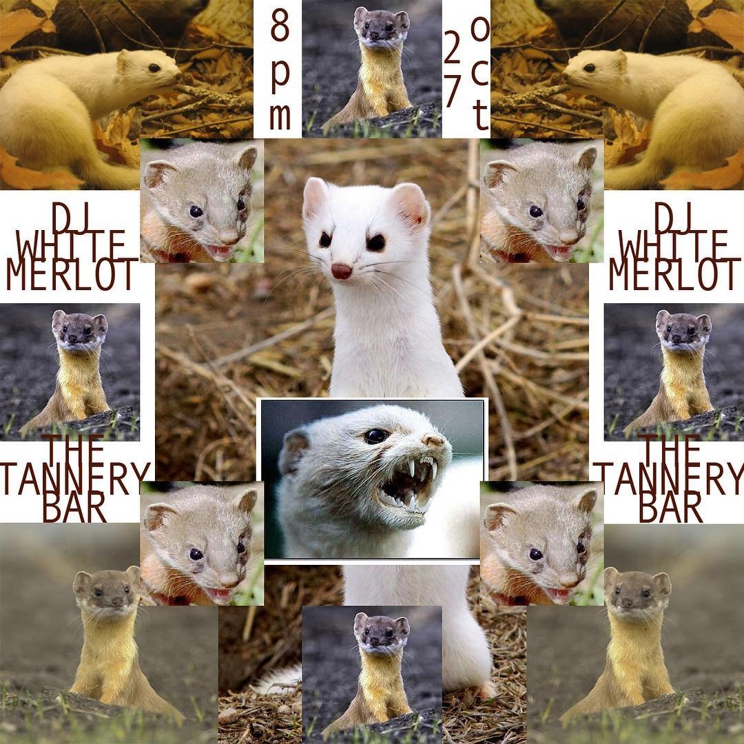 44801012_132330697732885_7483307161384456775_n.jpg
