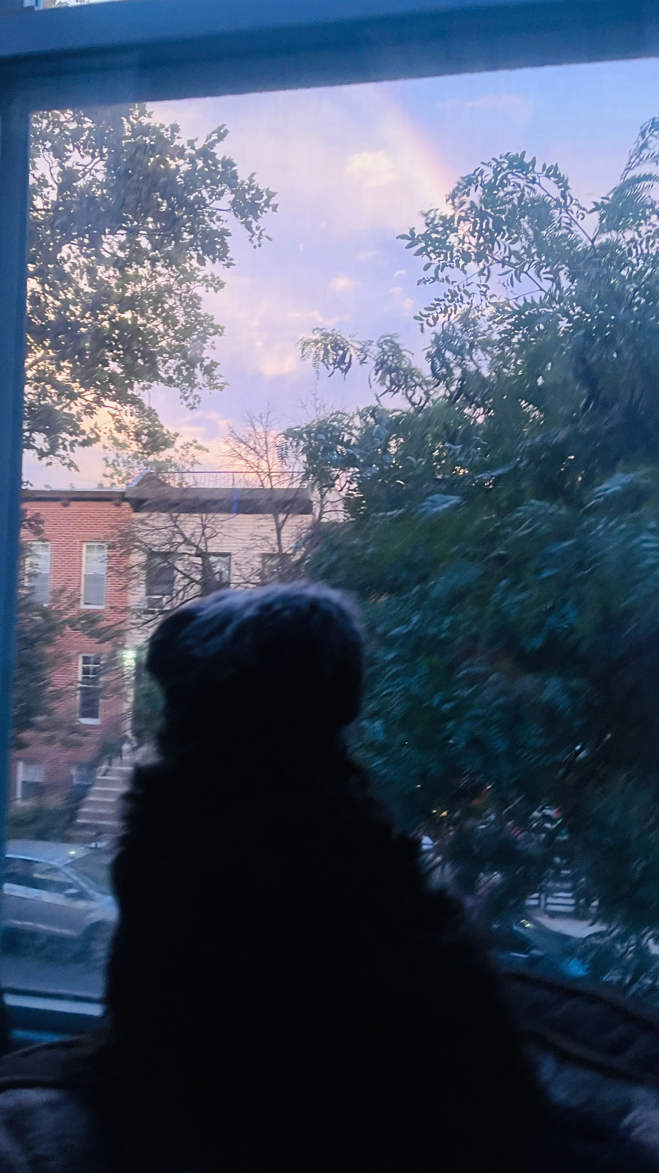 IMG_9513.jpeg