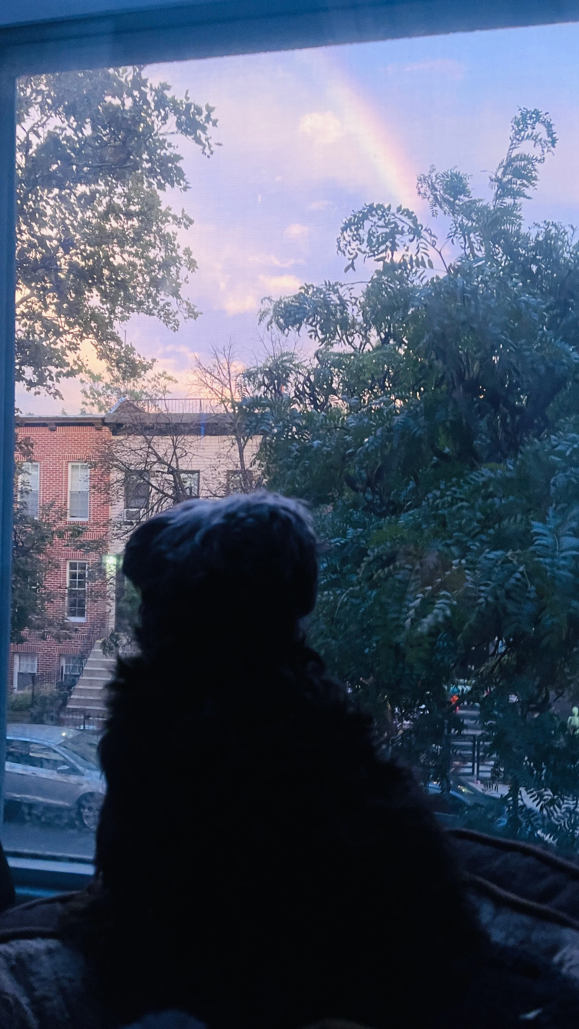 IMG_9514.jpeg