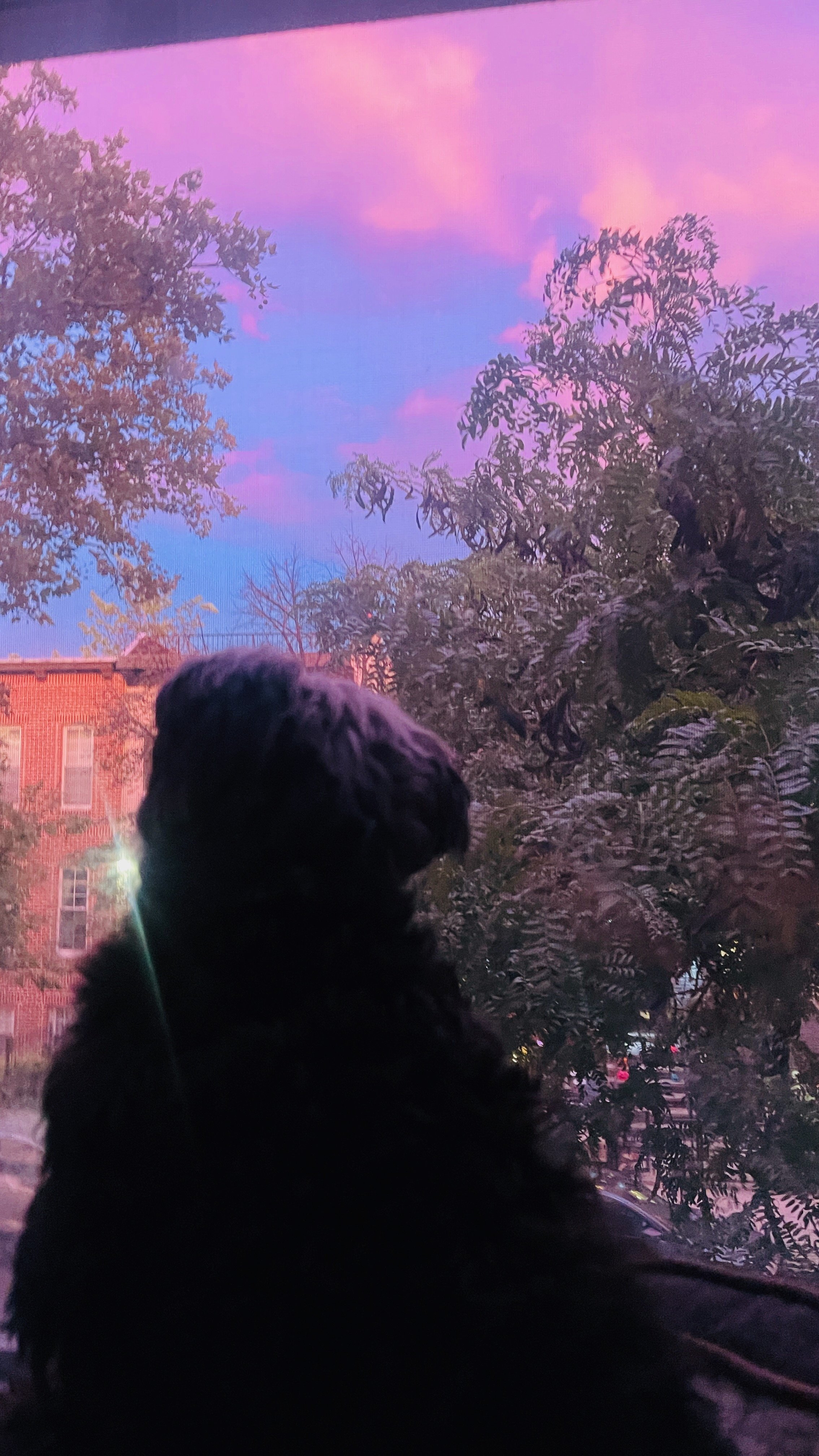 IMG_9572.jpeg
