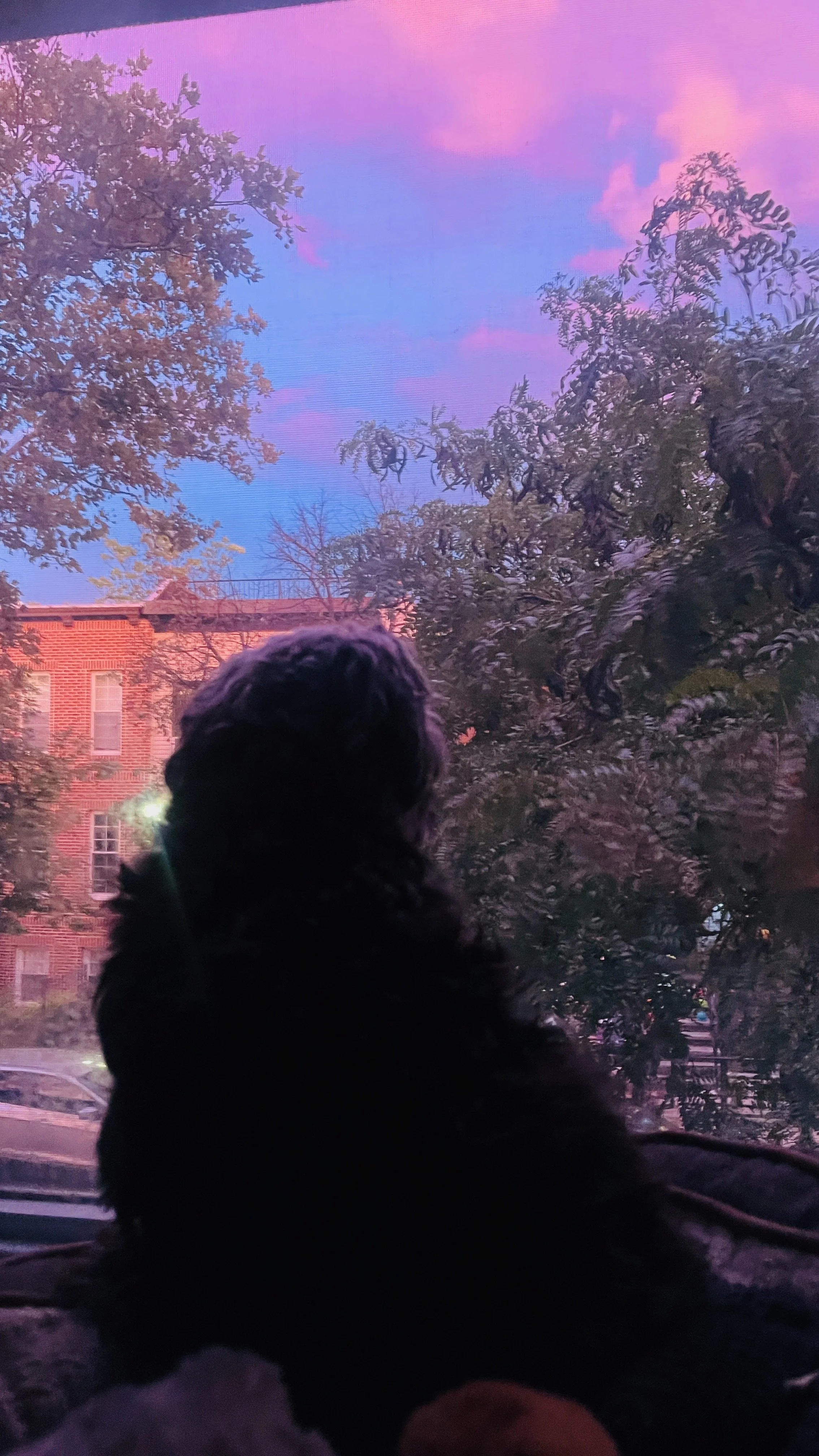 IMG_9584.jpeg