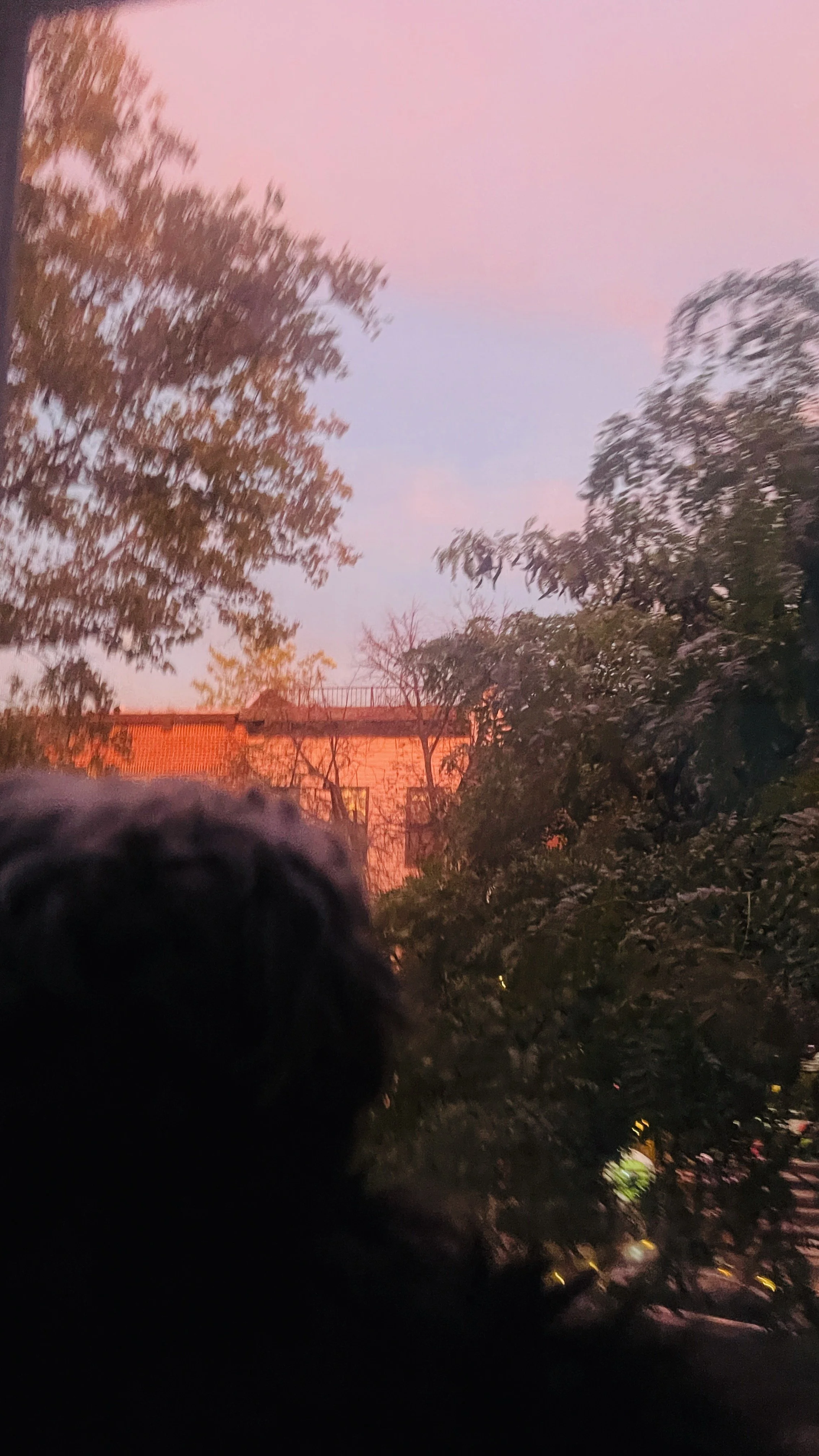 IMG_9592.jpeg