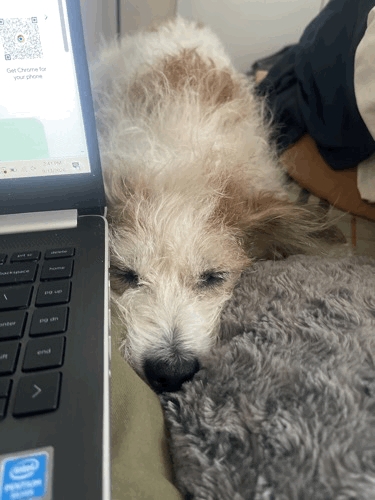 Image.gif