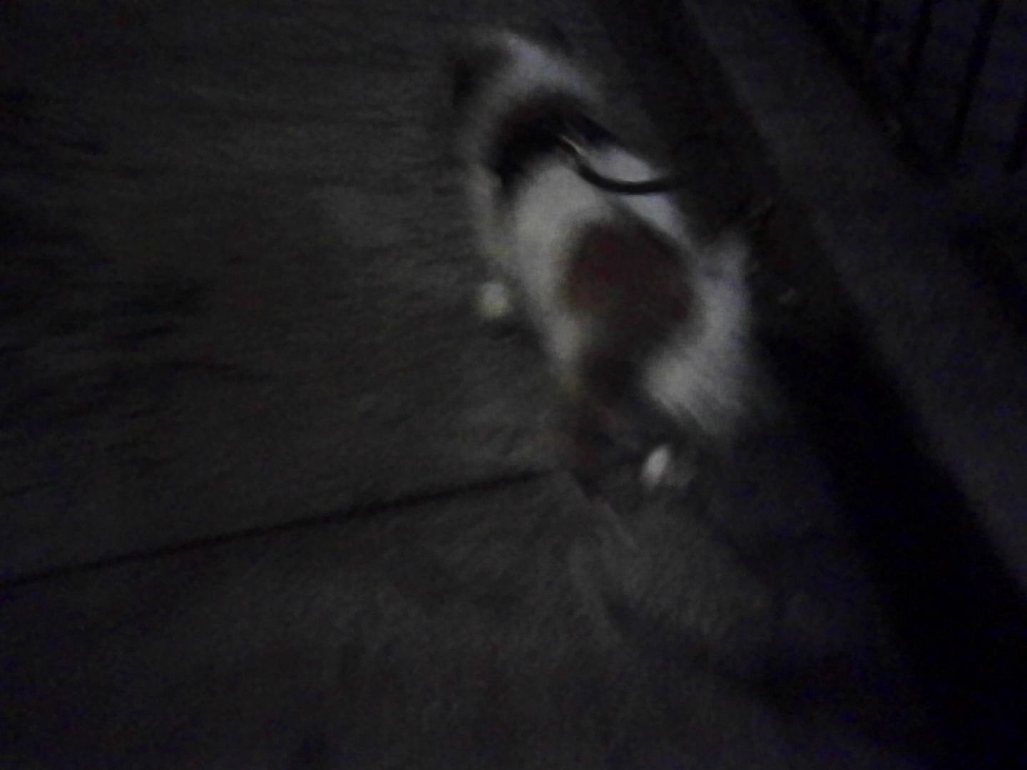 PICT0120.jpeg