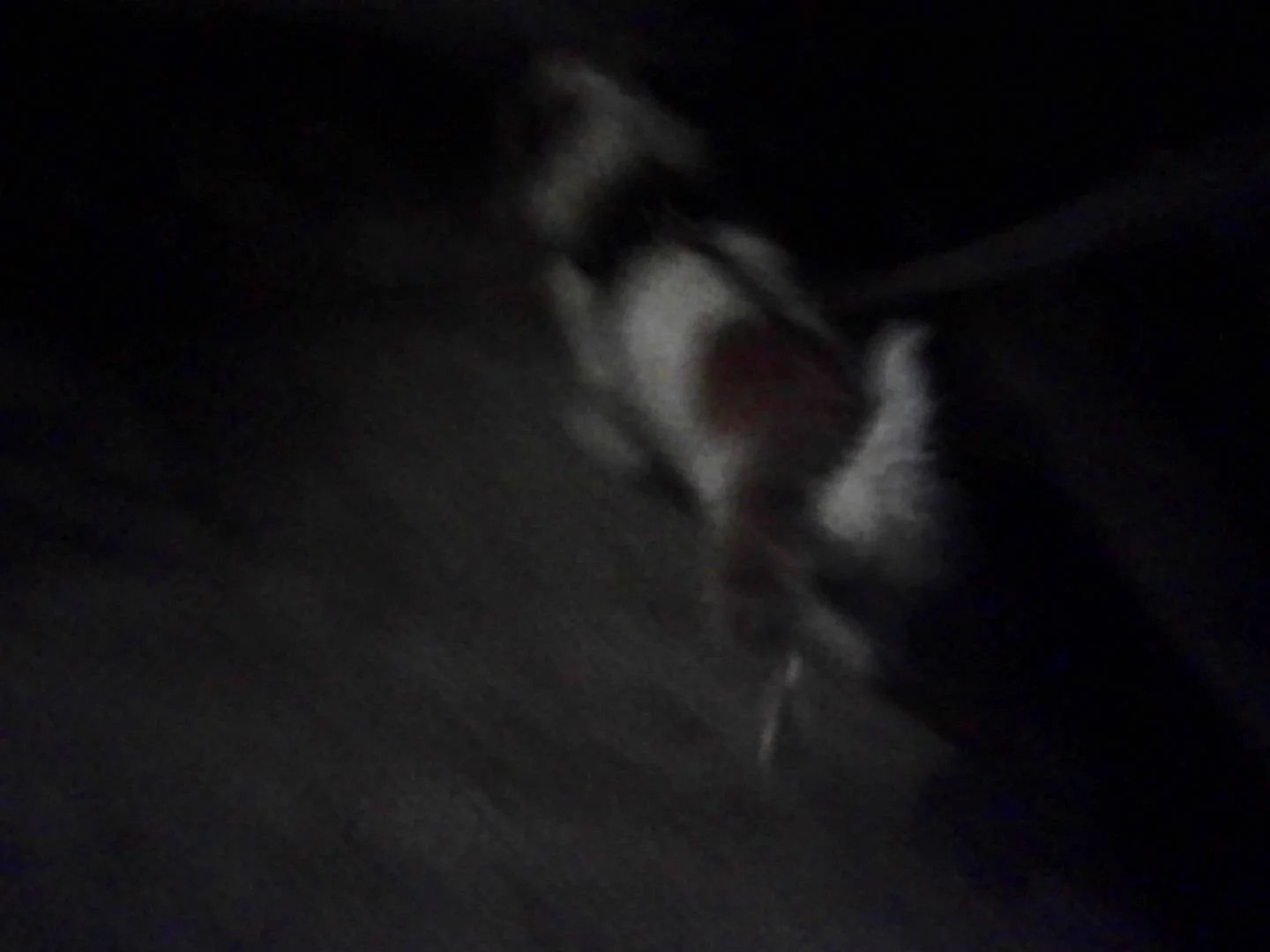 PICT0121.jpeg