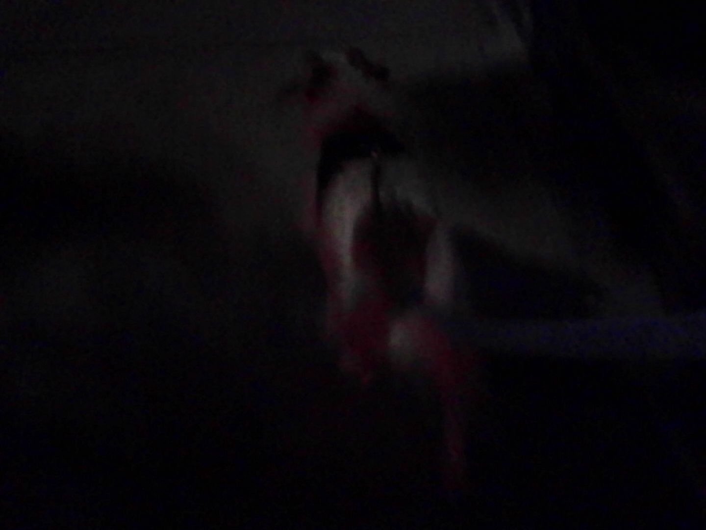 PICT0122.jpeg