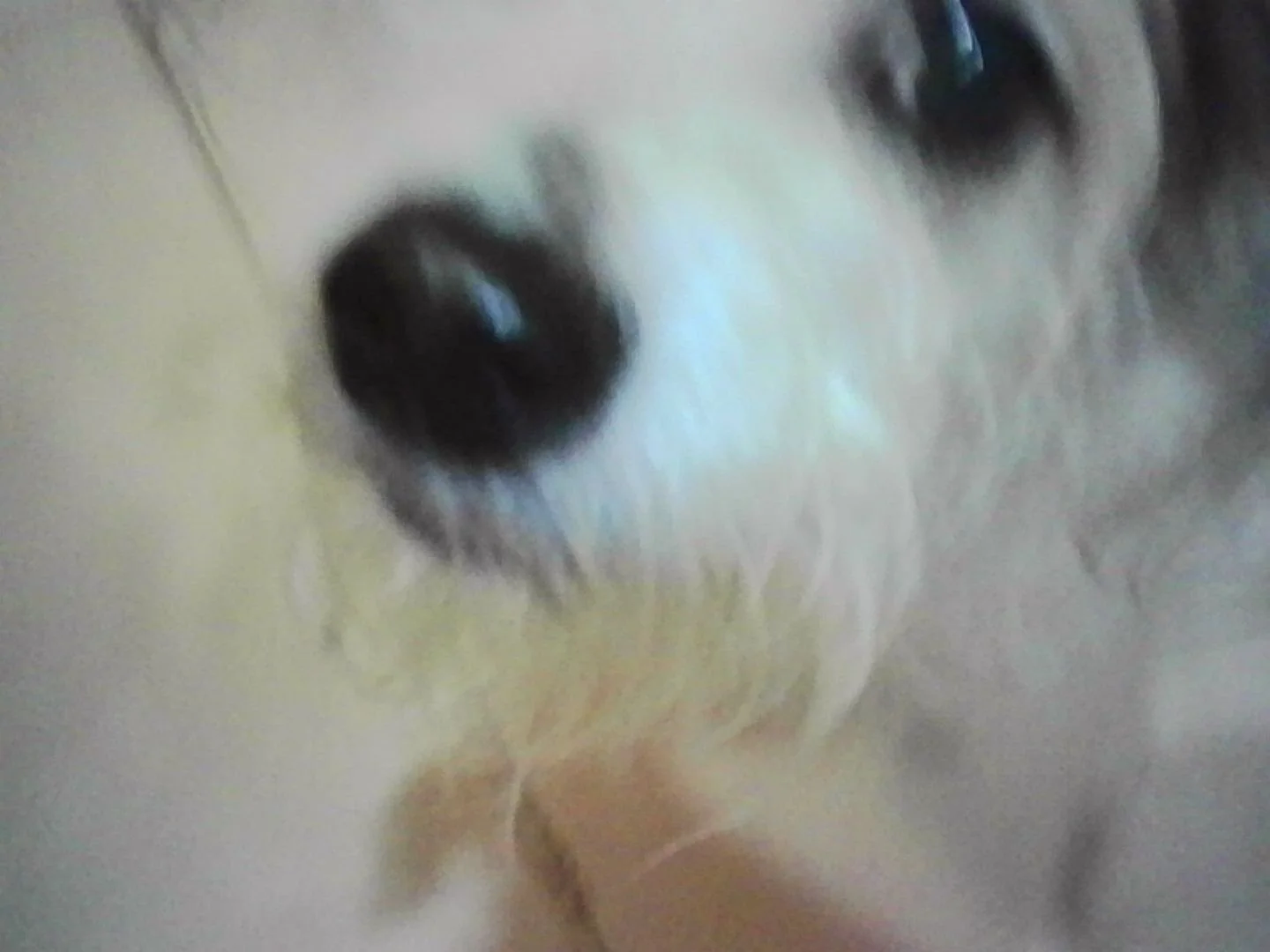 PICT0124.jpeg