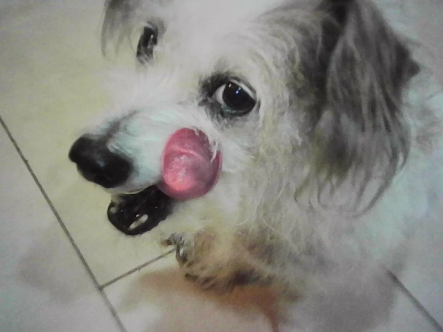 PICT0125.jpeg