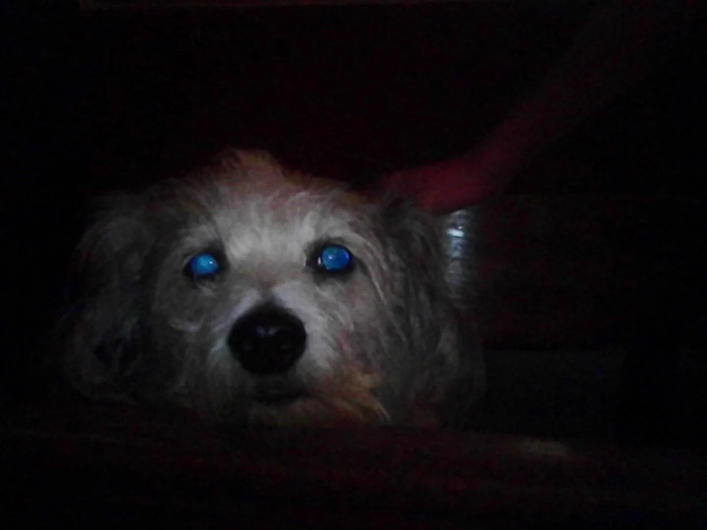 PICT0158.jpeg