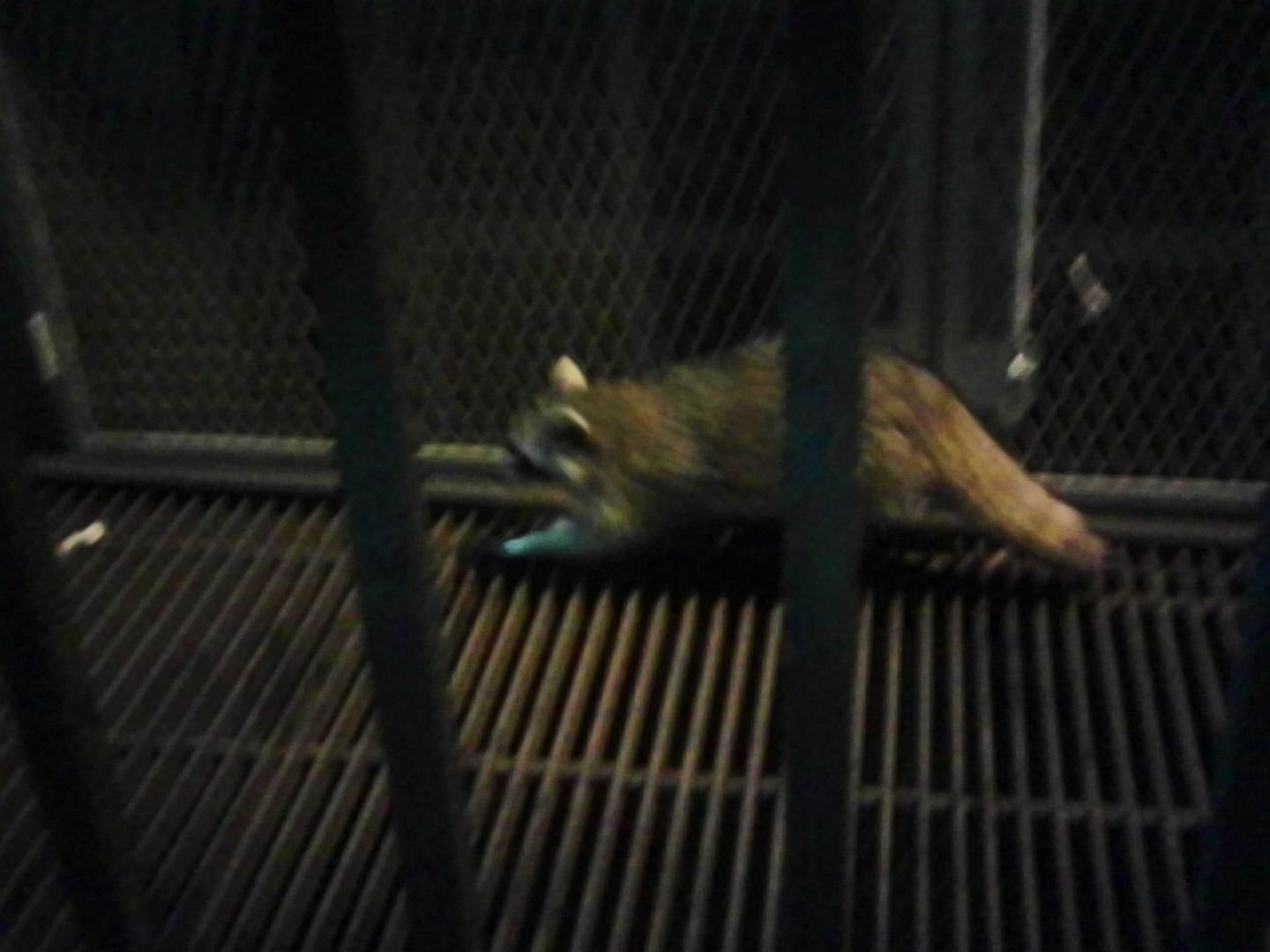 PICT0315.jpeg