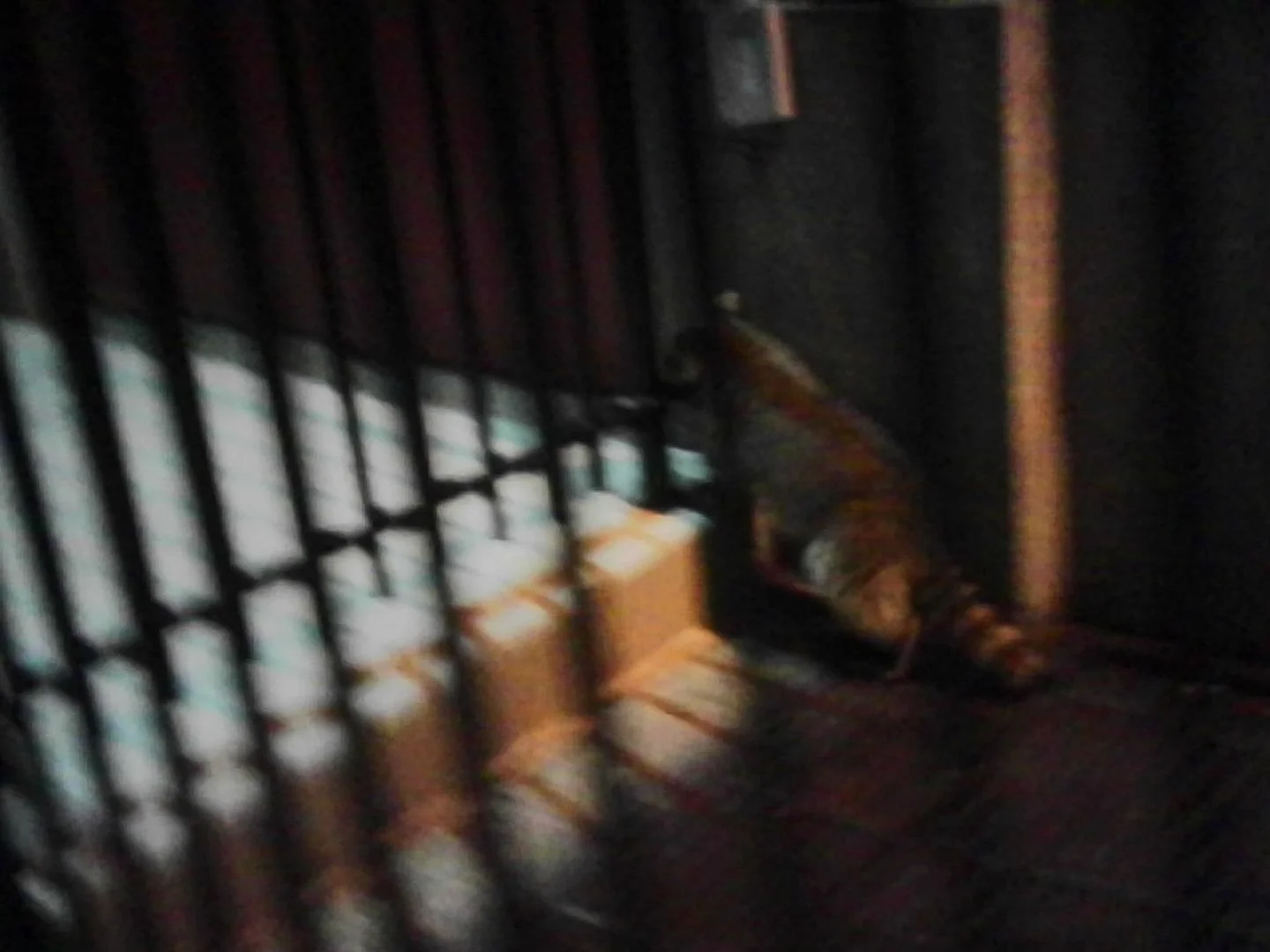 PICT0317.jpeg