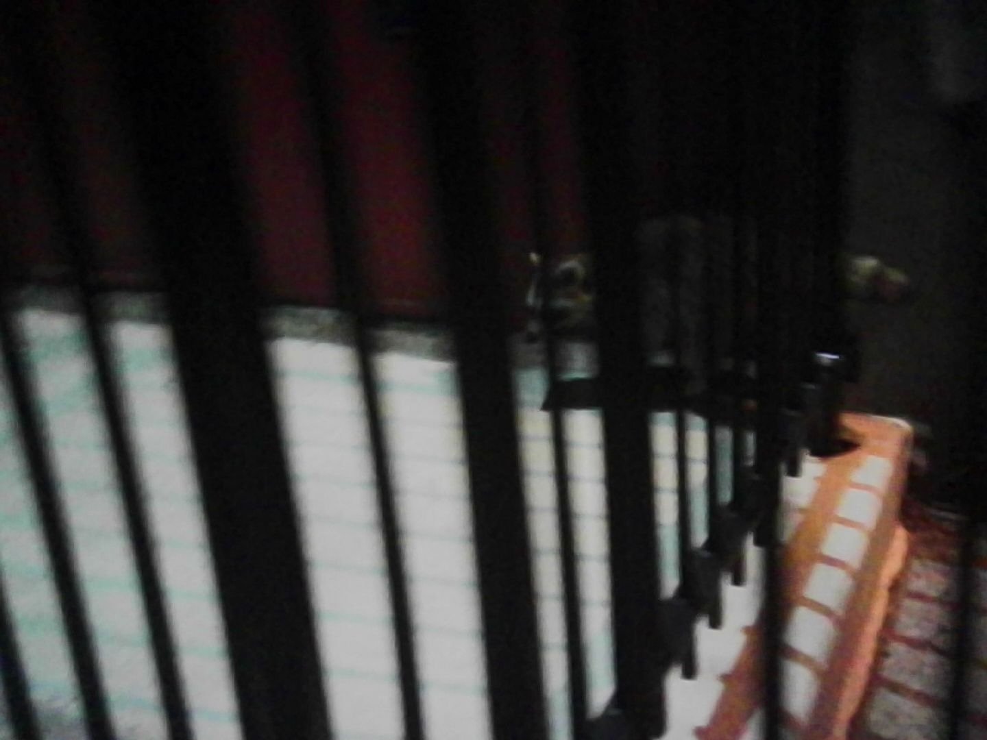 PICT0319.jpeg