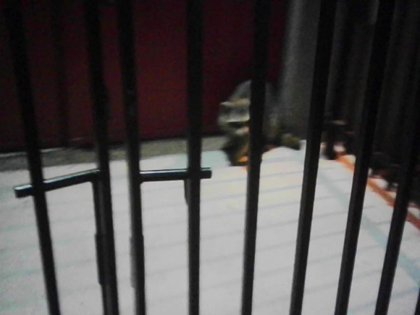 PICT0321.jpeg