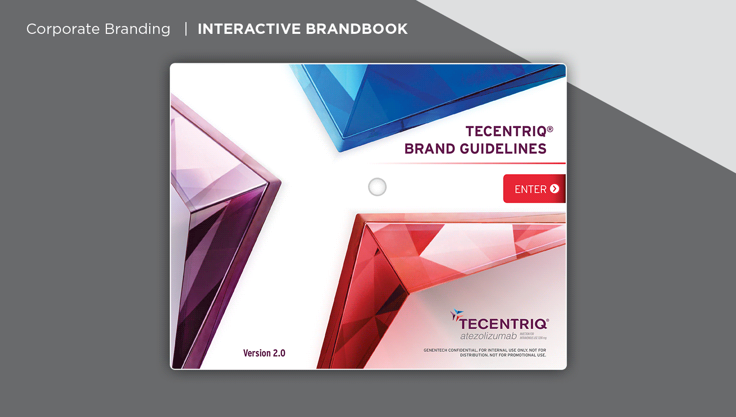Ani_TCQ_brandbook_v02.gif