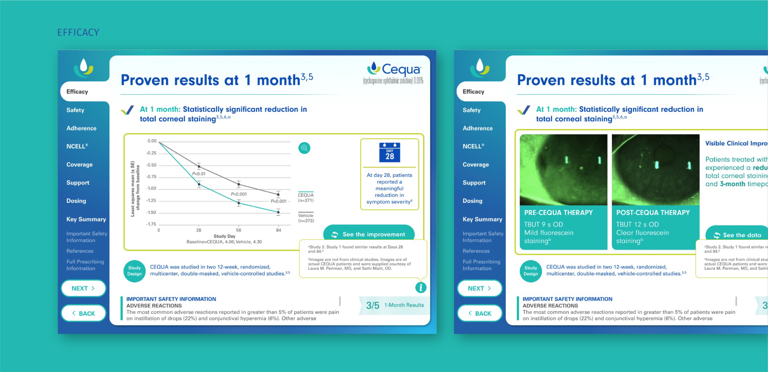 CEQUA-tactics_v01_Artboard 5.png