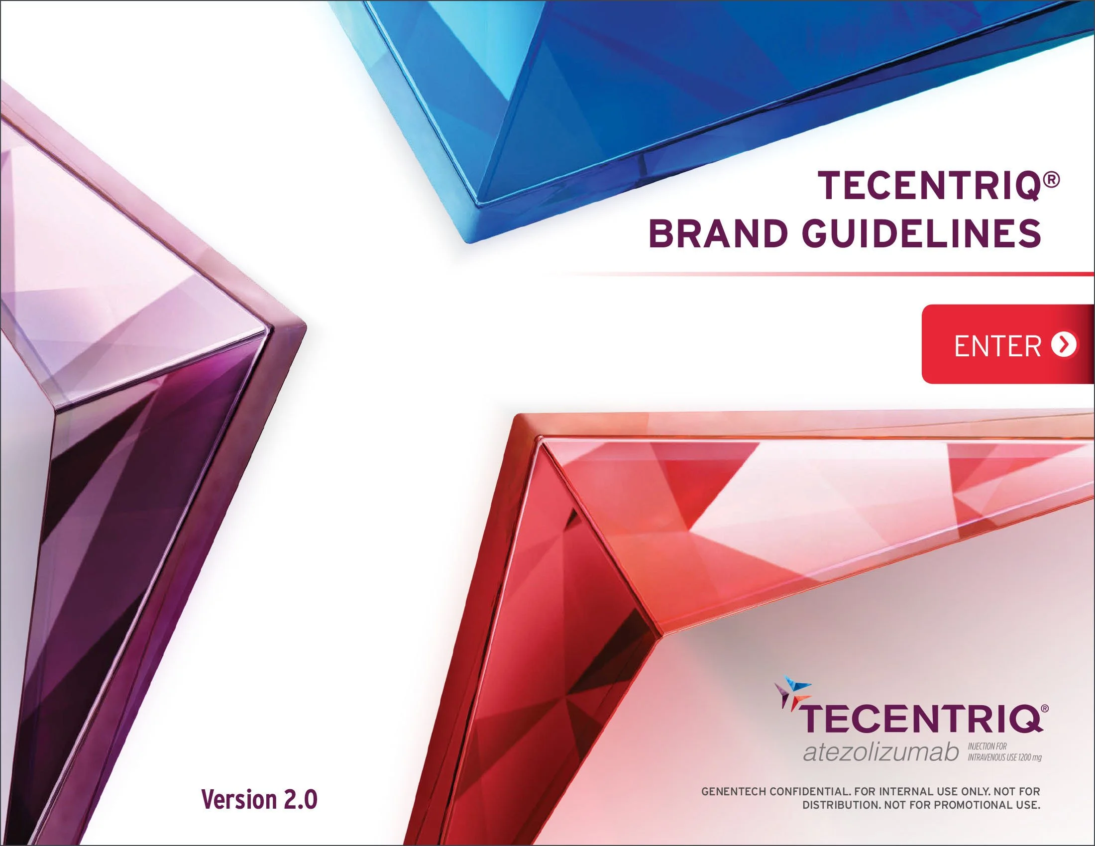 TECENTRIQ Brand Book_2017 Update-1 copy.jpg