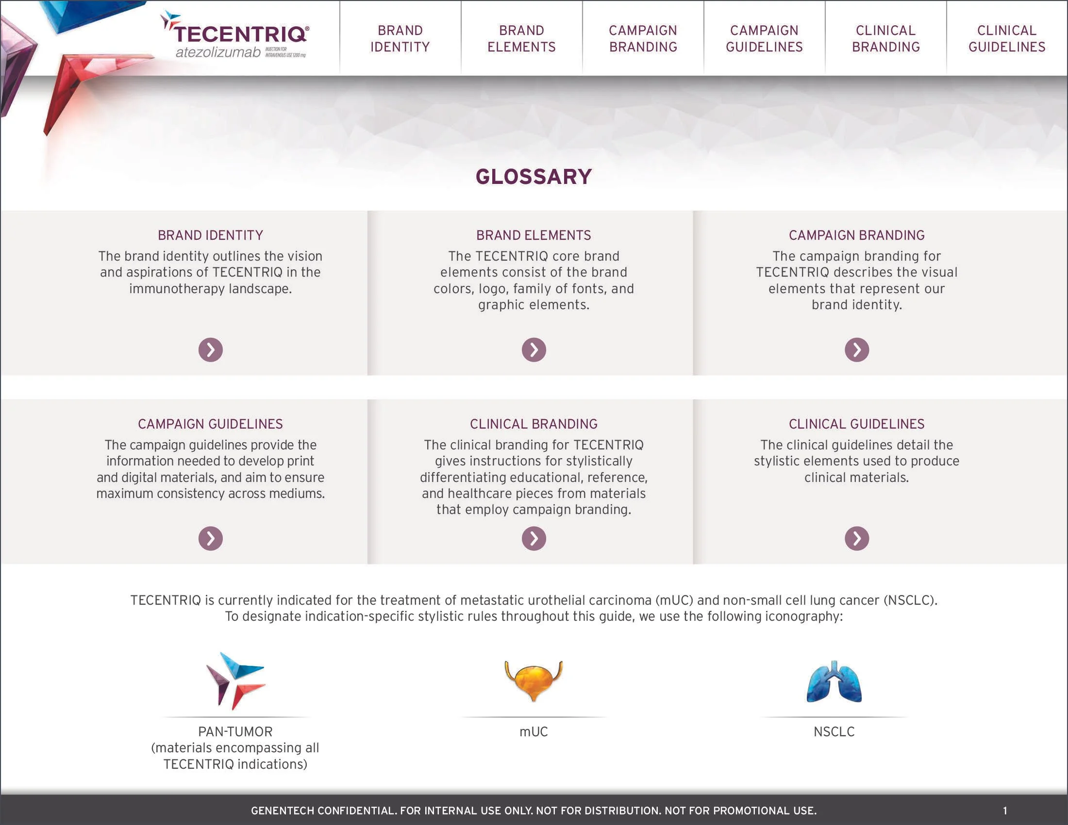 TECENTRIQ Brand Book_2017 Update-3 copy.jpg
