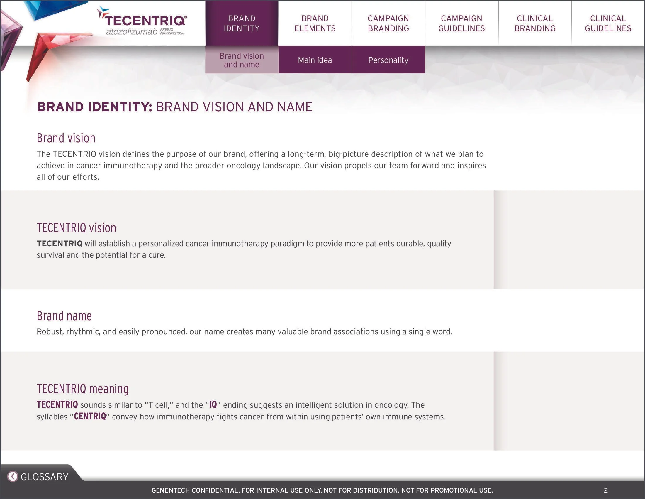 TECENTRIQ Brand Book_2017 Update-4 copy.jpg