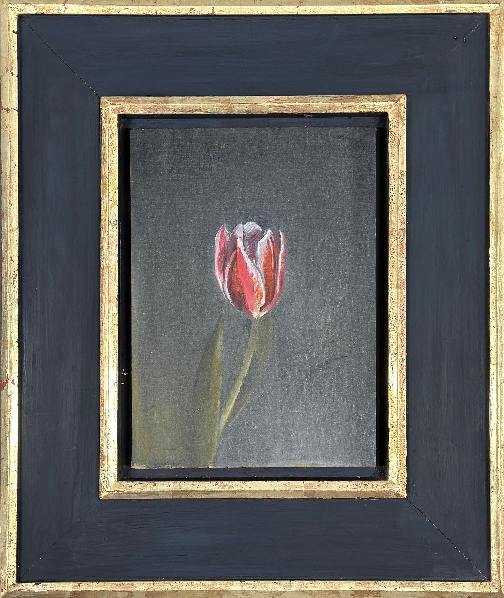 Red Stem Tulip