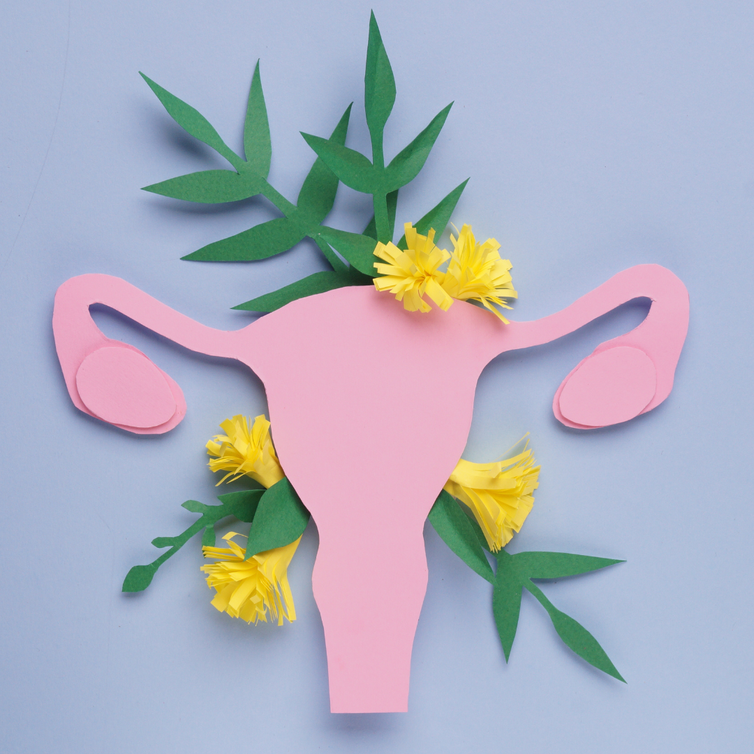 Creative Thinkers Menopause And Beyond The Studio Morland creative-thinkers-menopause-and-beyond-the-studio-morland