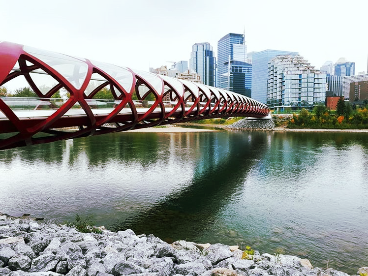 The Active Neighbour Series, Episode 3: Matt Heller