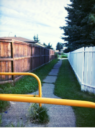 The Active Neighbour Series – Episode 1: Cal Schuler