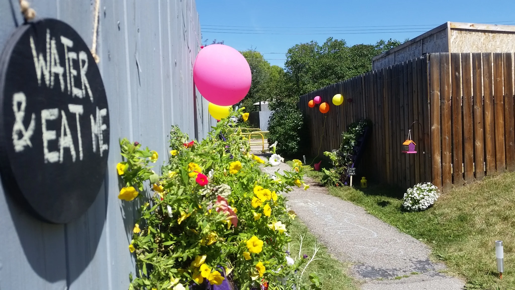 20180716_125718.jpg