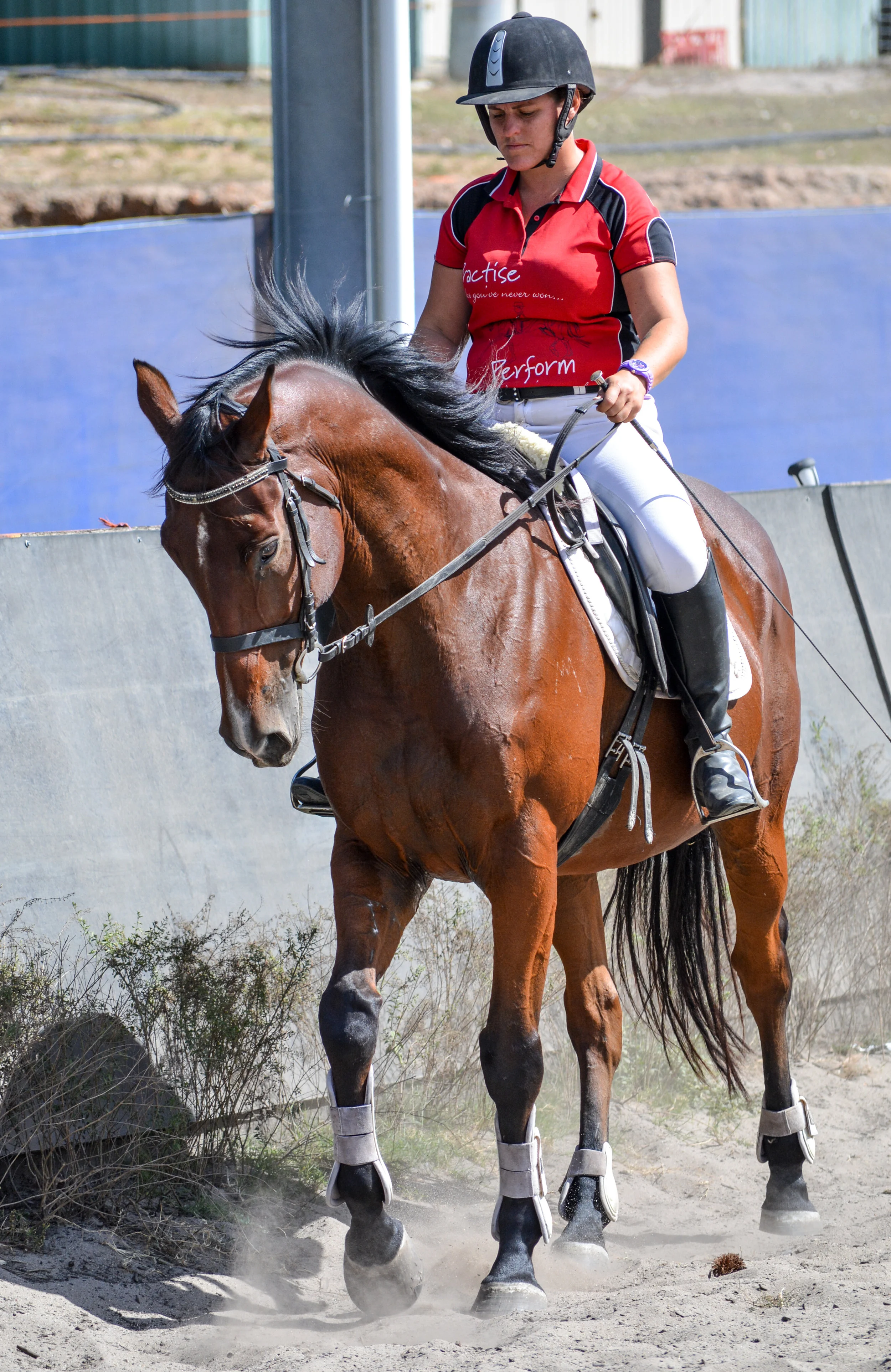 Are you riding for now or forever?