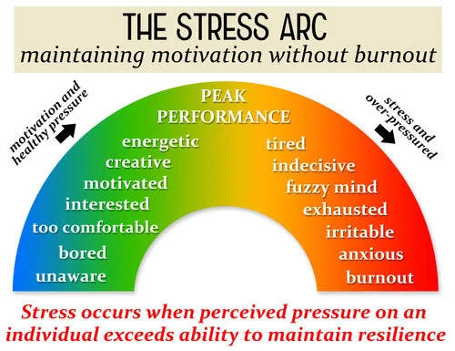stress 1.jpg