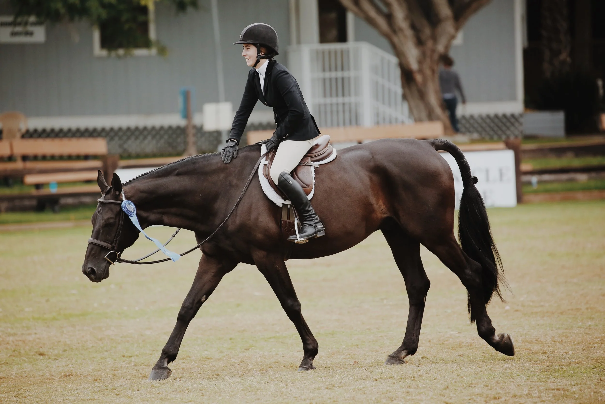 Equestrian Movement 14 Tricks To Remember For Your Dressage Test