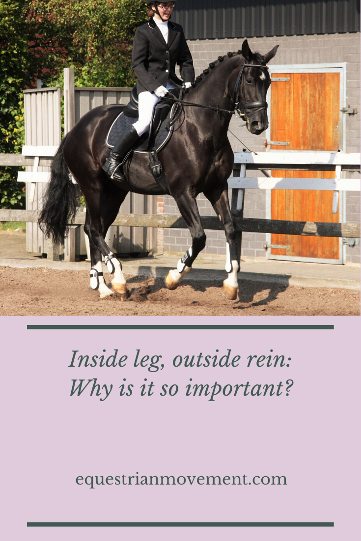 Equestrian Movement Inside Leg, Outside Rein
