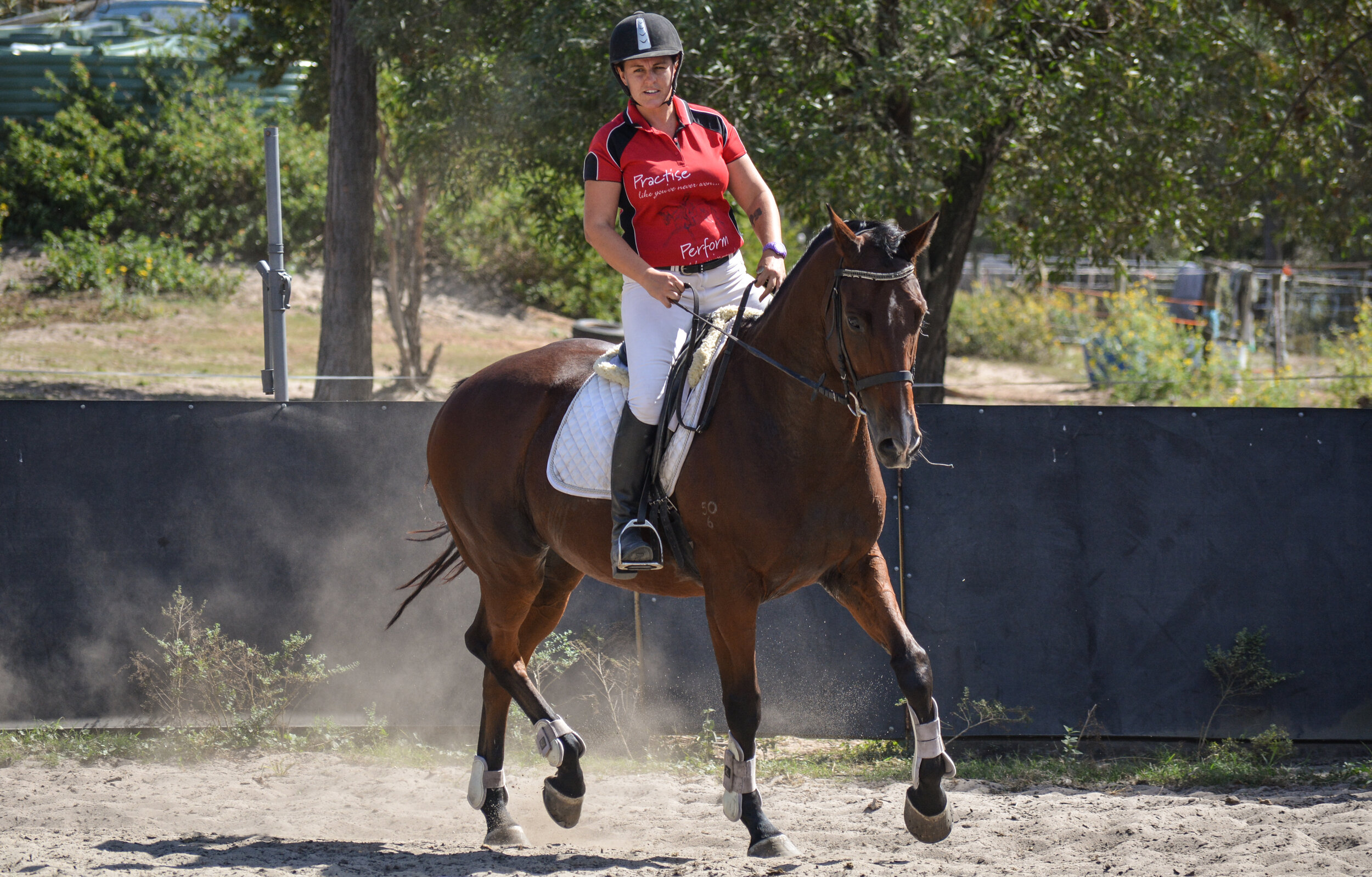 Equestrian Movement Inside Leg, Outside Rein