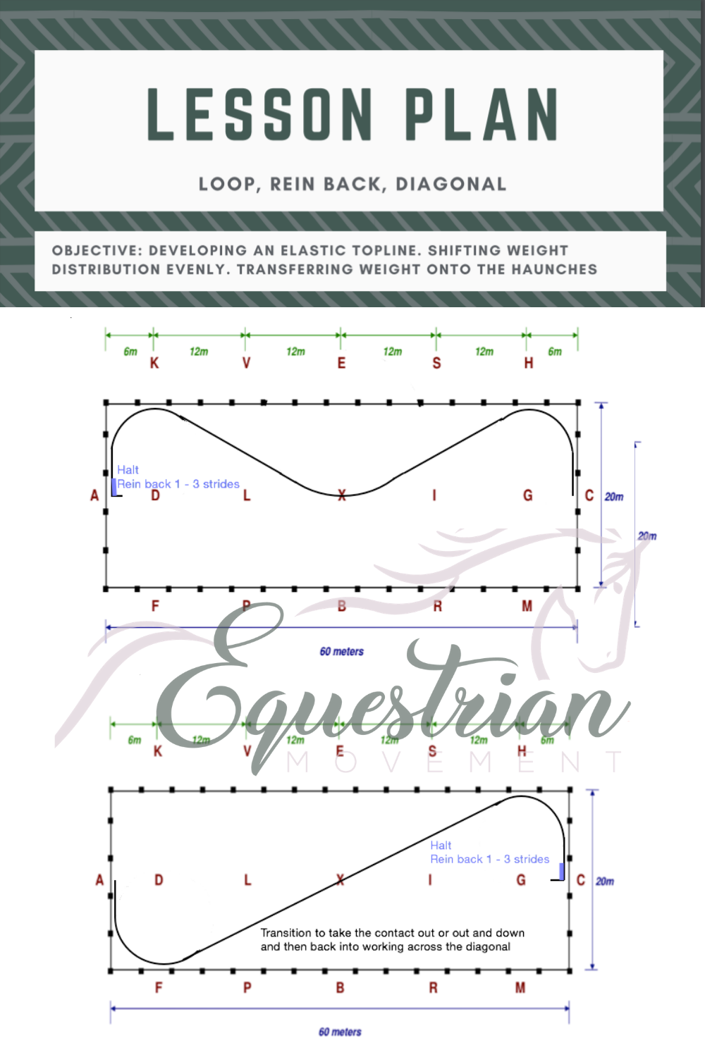 Lesson Plan Sneak Peak!!! Loop, Rein Back, Diagonals