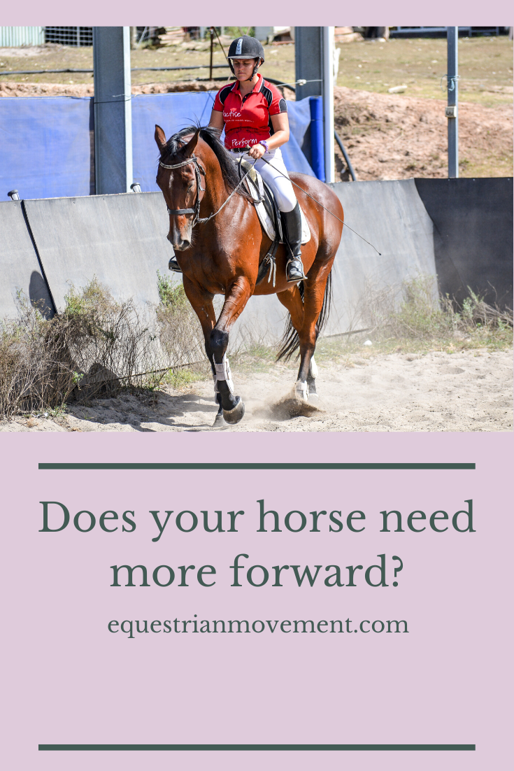 Galloping Ahead: The Importance of a High-Impact Sports Bra for Horse