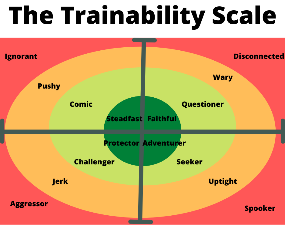 When our horse's personality impacts their training