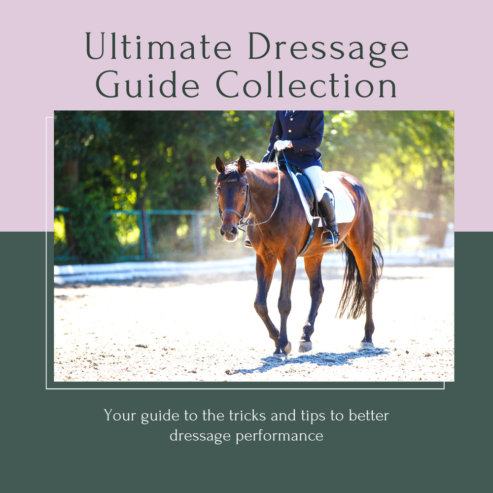 Equestrian Movement 14 Tricks To Remember For Your Dressage Test