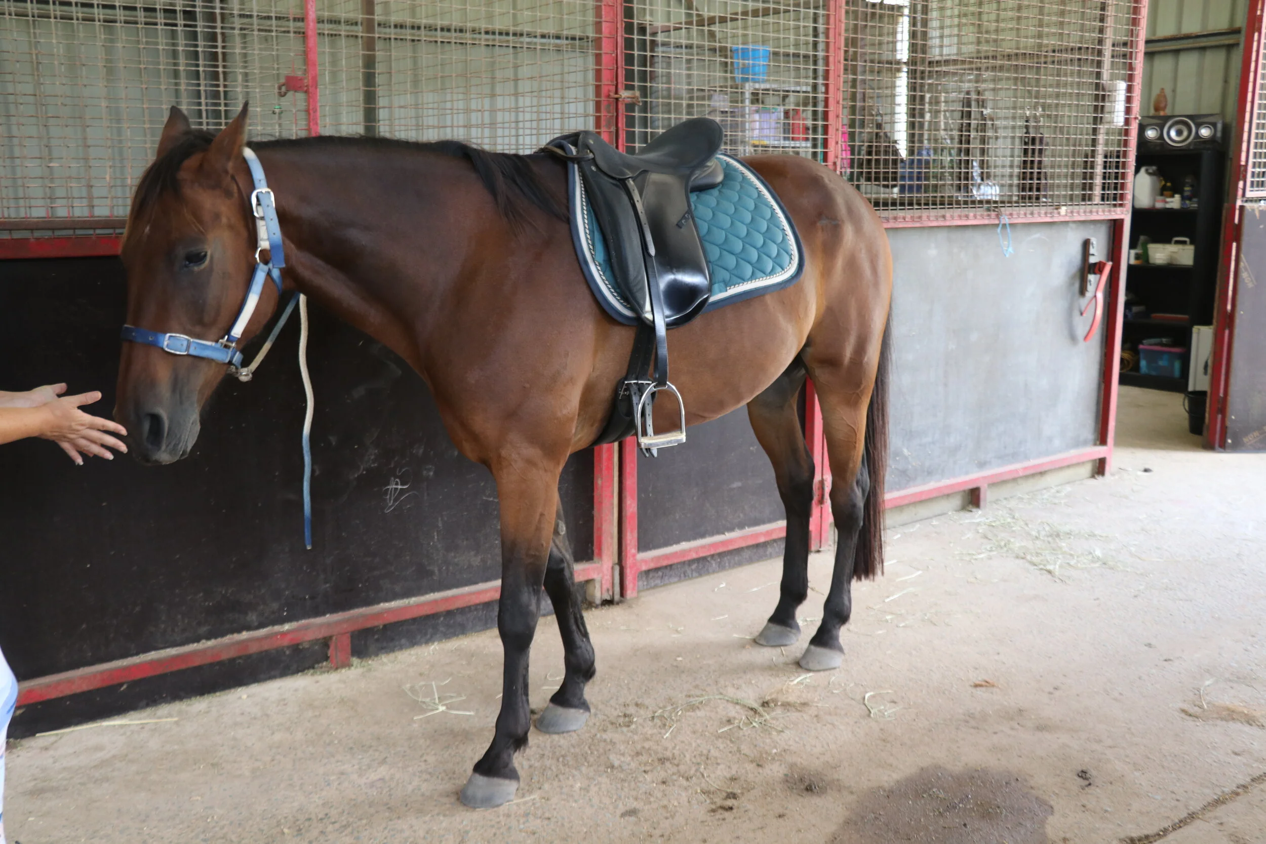 The Six Skills You Need As A Rider