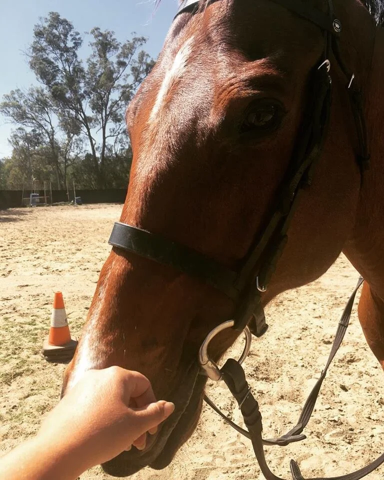 Communication buttons and some of our student hiccups!