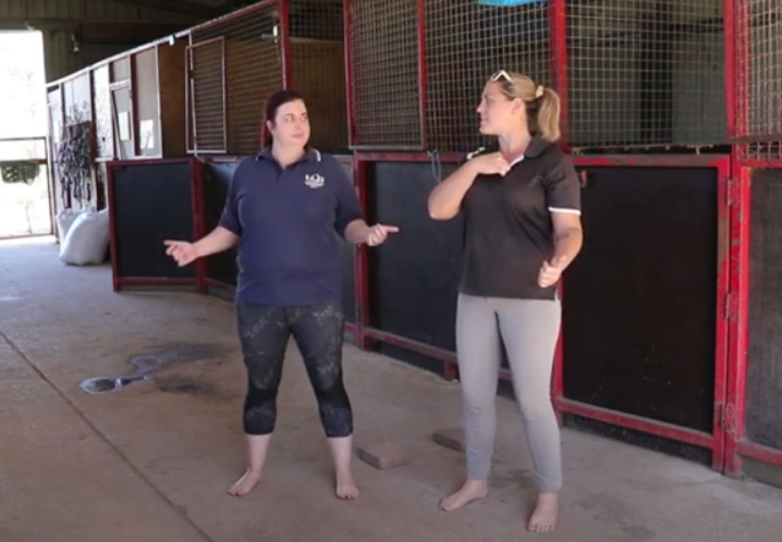 Guaranteed: This Video Will Help Your Position in the Saddle 