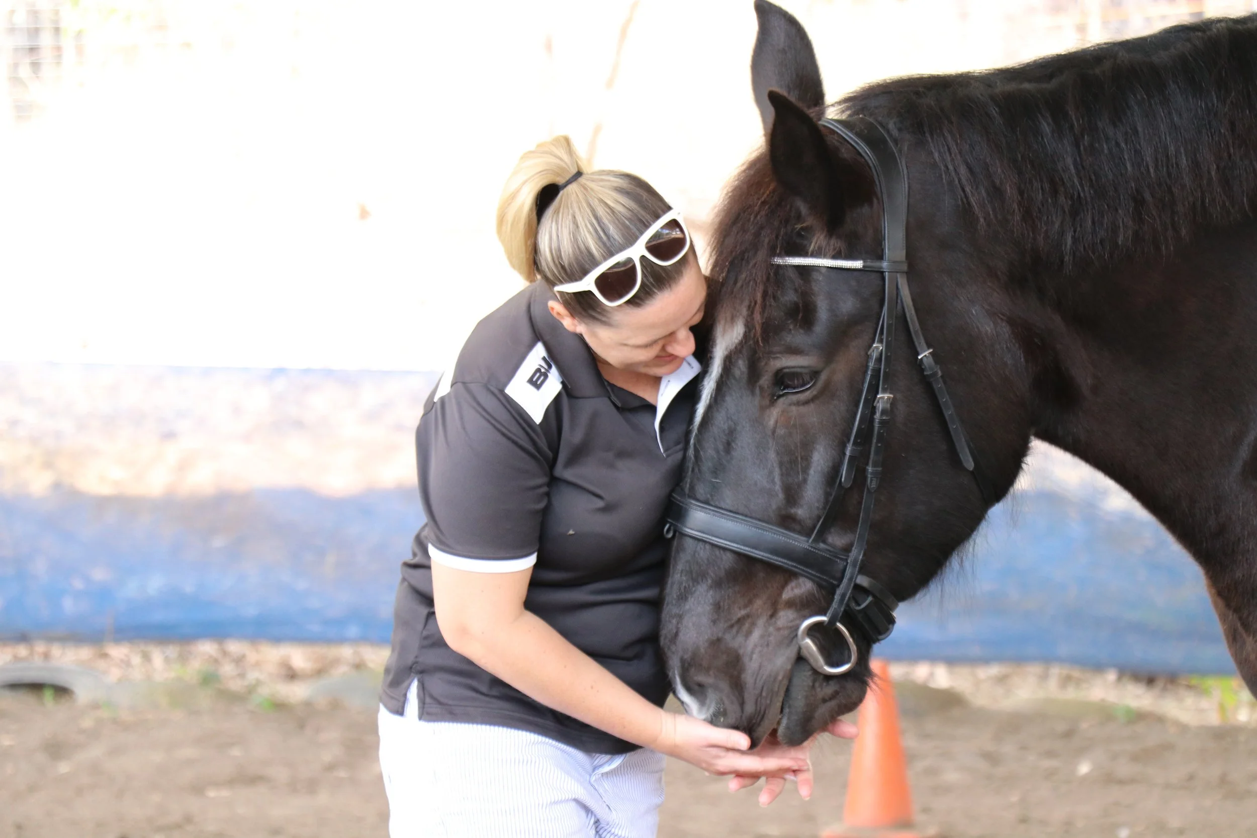 The secret behind stubborness