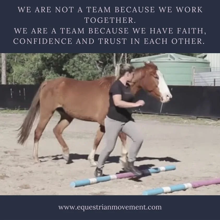 The Powerfully Connected Equestrian Team