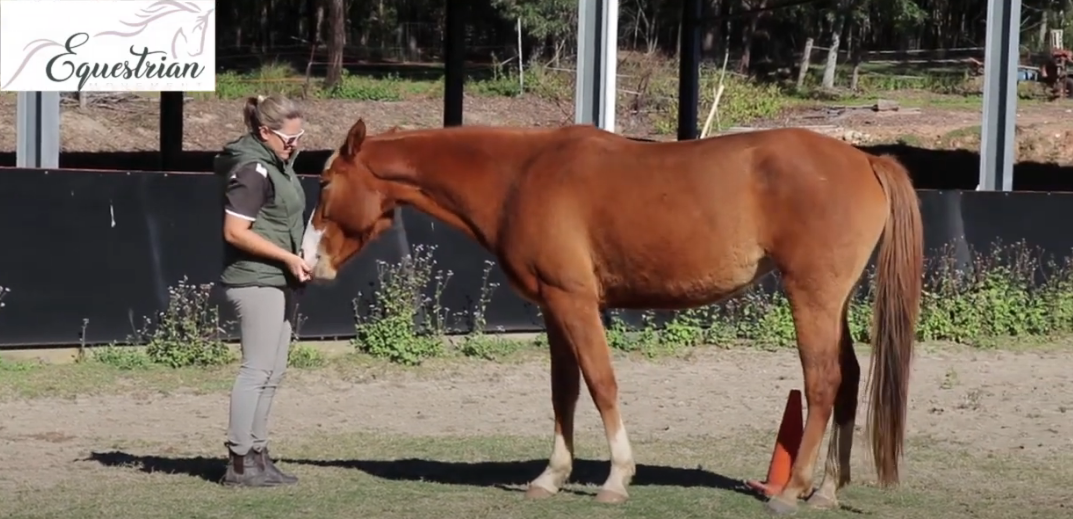 One thing you probably HAVEN'T been taught...