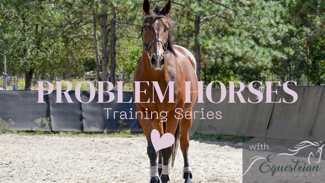 Problem Horse Series: My horse spooks at EVERYTHING!!!