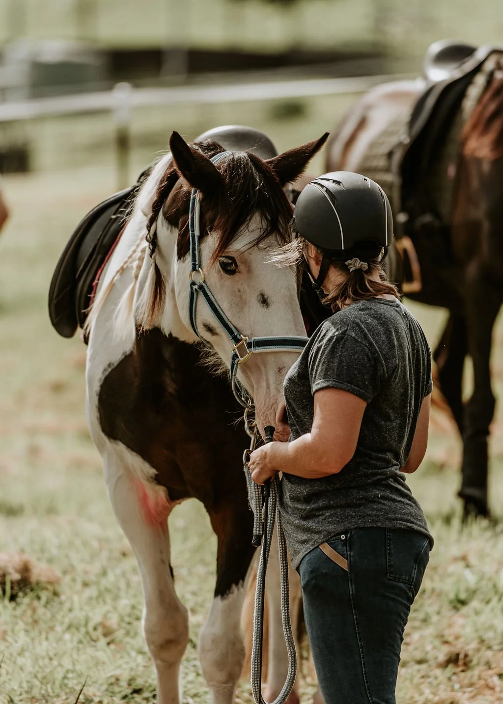Equestrian Movement What is a Holistic Horse Handler?