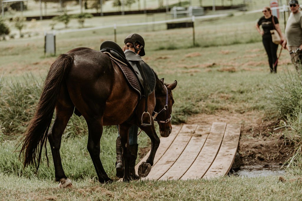 Willingness or Submission - What do you have?