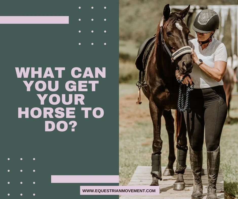 HELP ME WITH MY HORSE!!