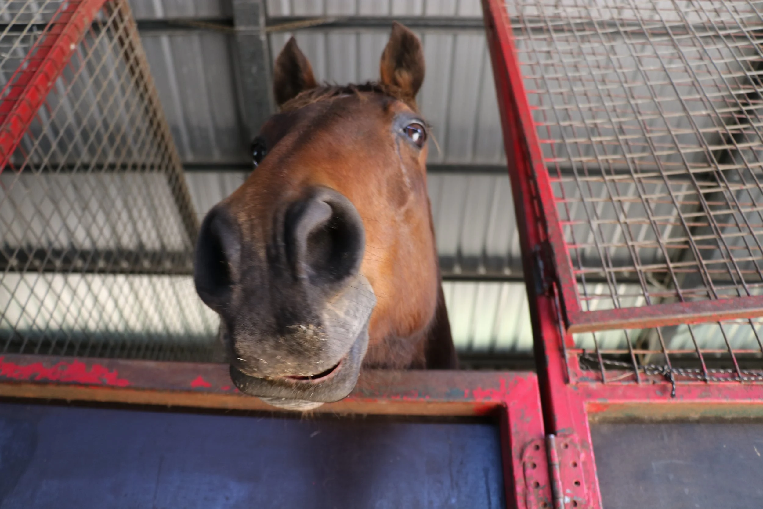 Game Changing Training (video)