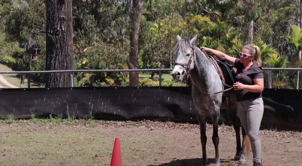 What does submission to the bit look like?